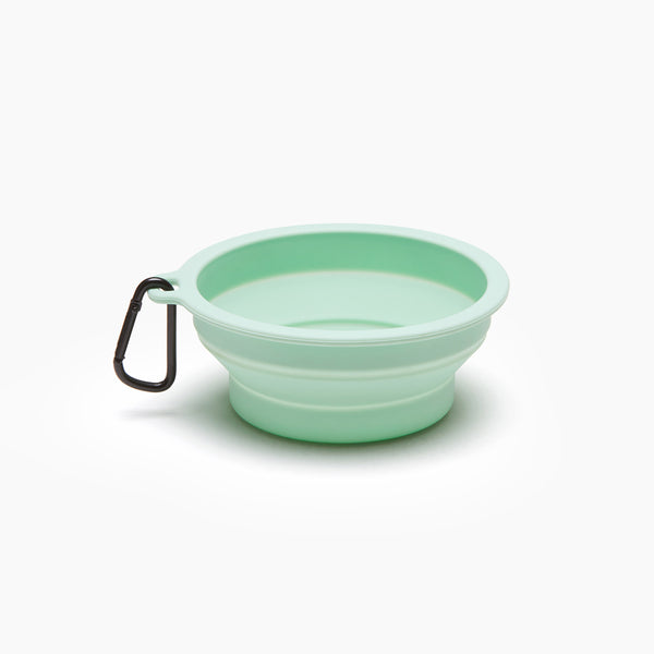 Macaron Collapsible Travel Pet Bowl Brookstone