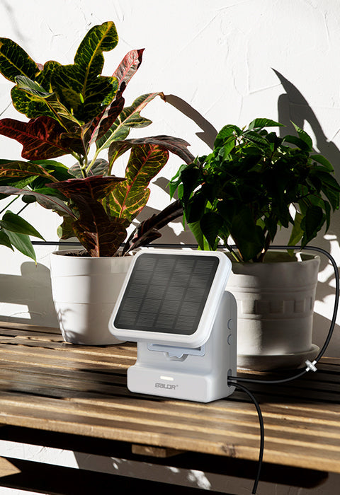 Smart Plant Care Bundle for Indoor Gardening