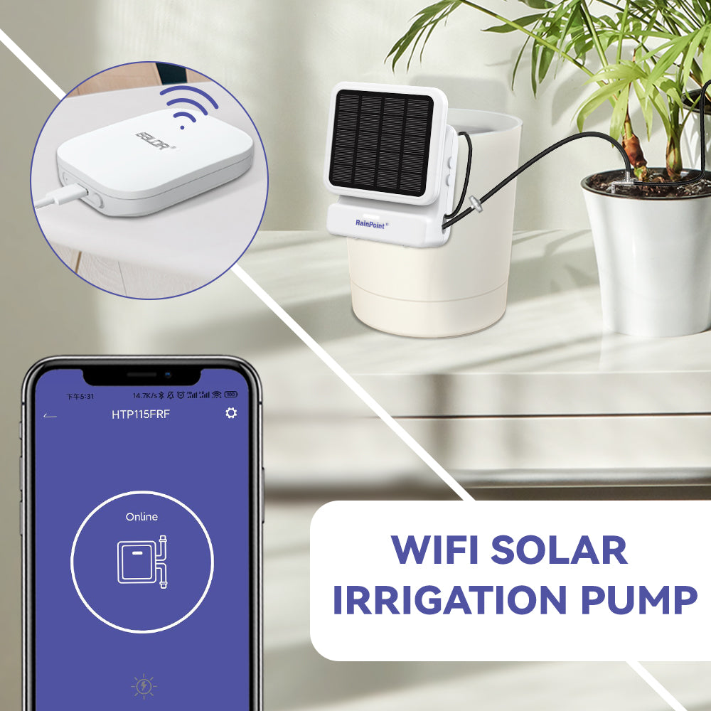 wifi indoor plant watering RainPoint Wi-Fi Indoor Watering Timer – Solar Pump & Smart Scheduling for House Plants