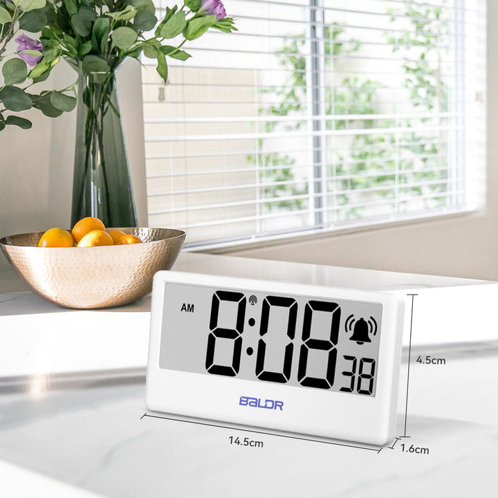 BALDR Internet Time Synchronized Precision Clock