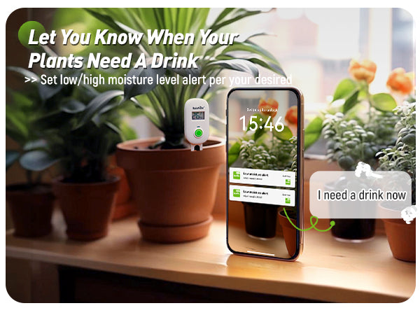 brookstone indoor plant care kit Smart Wireless Plant Moisture Meter for Indoor Plants Meter with Wifi Hub