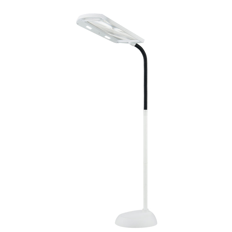 Full page magnifier floor lamp hotsell