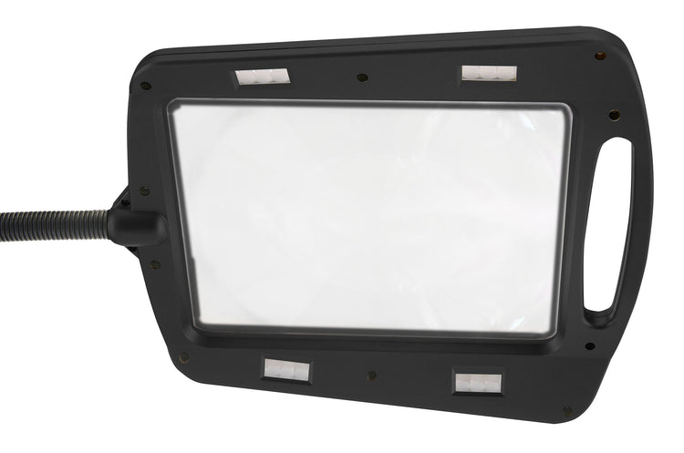 Daylight24 Full Page Magnifier Floor Lamp - Black Finish