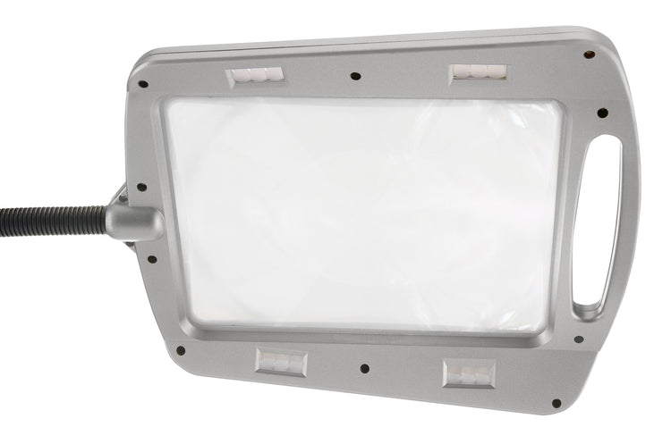 Daylight24 Full Page Magnifier Floor Lamp - Painted Silver Finish
