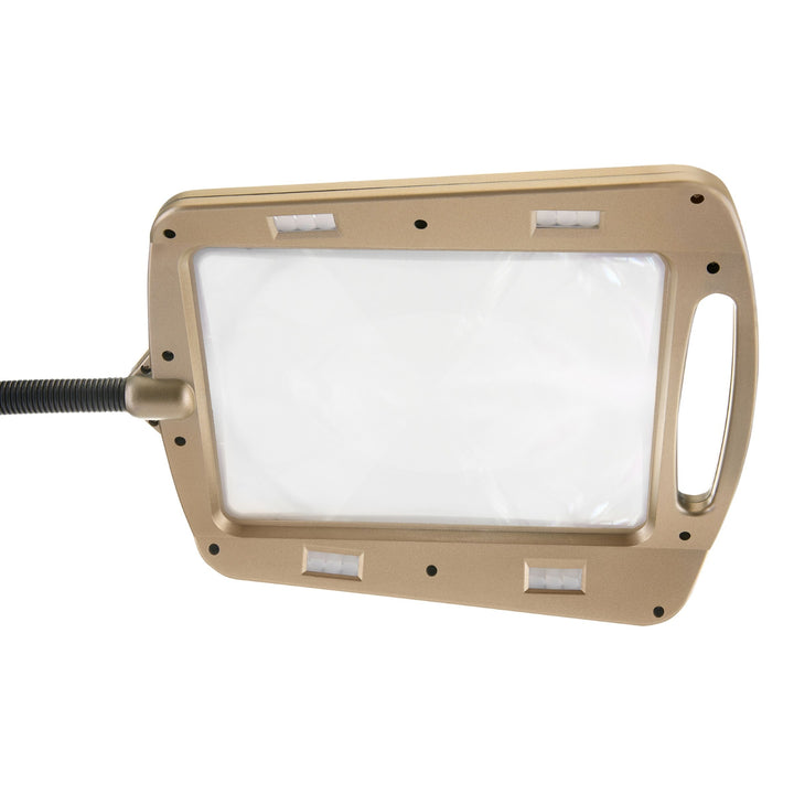 Daylight24 Full Page Magnifier Floor Lamp - Painted Bronze Finish