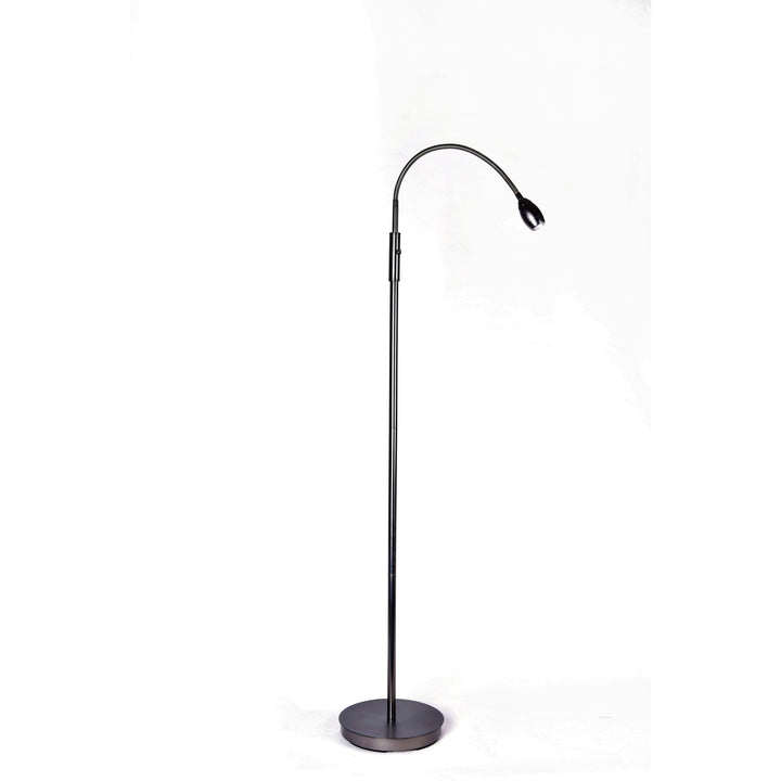 Natural Daylight LED Adjustable Beam Floor Lamp - Blackened Bronze Finish by Daylight24