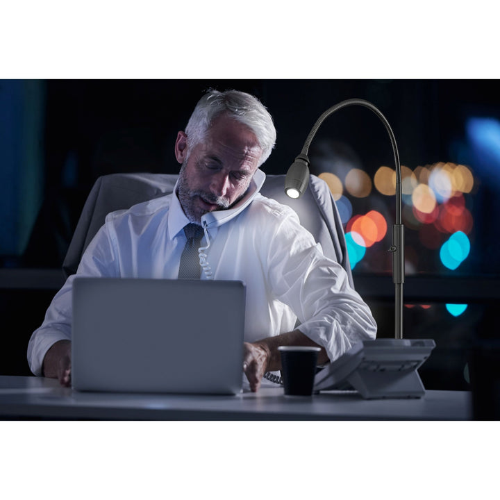 Natural Daylight LED Adjustable Beam Floor Lamp - Blackened Bronze Finish by Daylight24