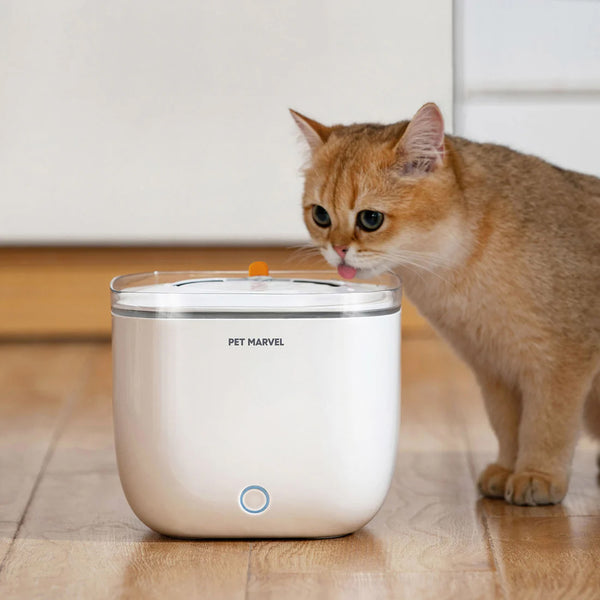Pet Life Moda Pure Water Purifier Pet Bowl