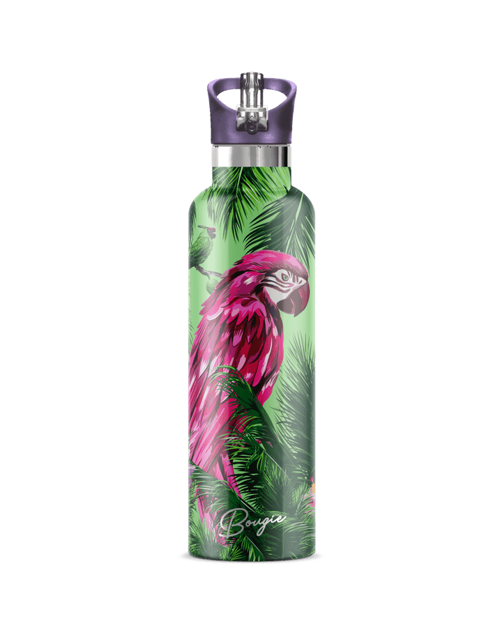 Macaw 25oz | High-Gloss Tropical Parrot Art