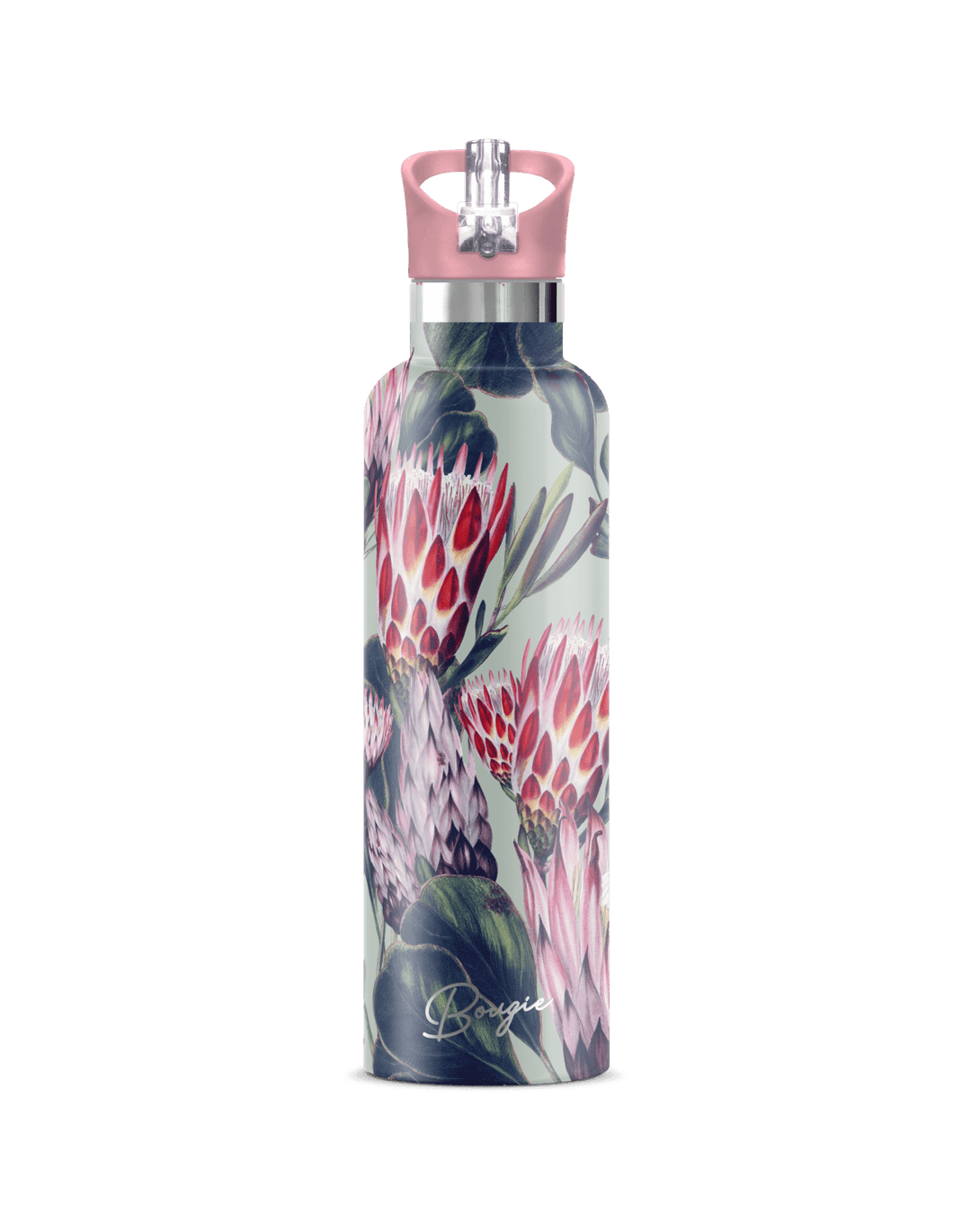 Protea 25 Oz | King Protea Botanical
