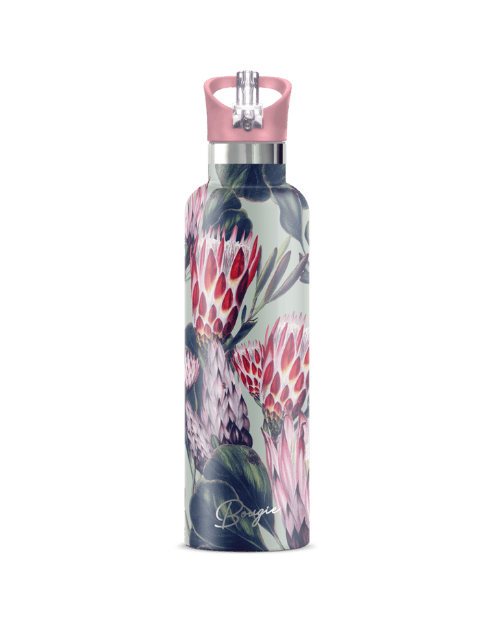 Protea 25 Oz | King Protea Botanical