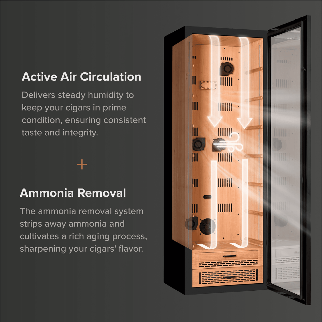 Airo Fridgador Cabinet - 88L by Case Elegance