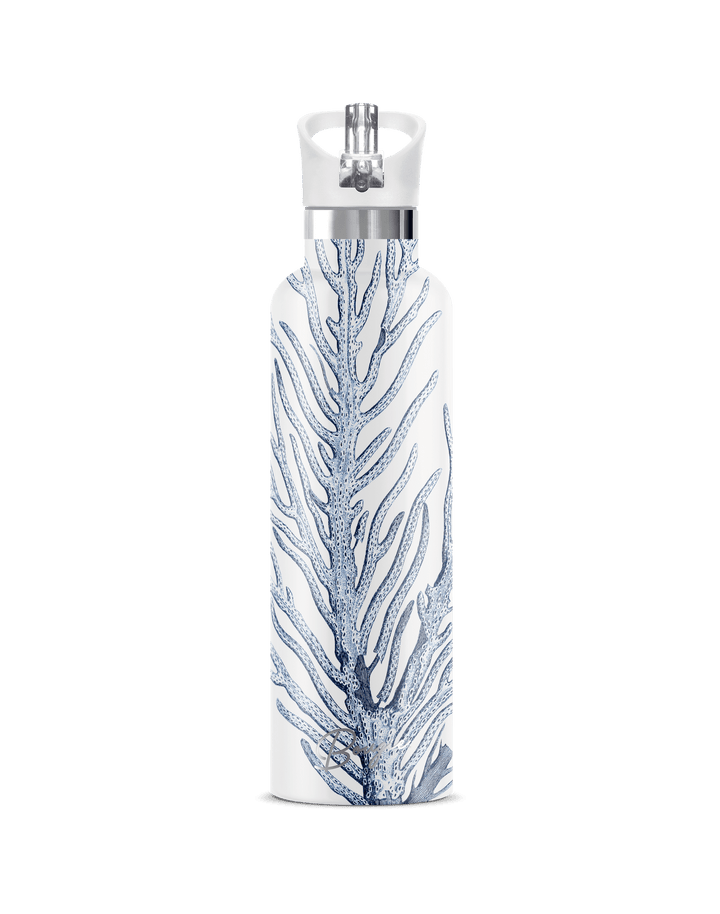 Akoa 25oz  | Deep Sea Coral