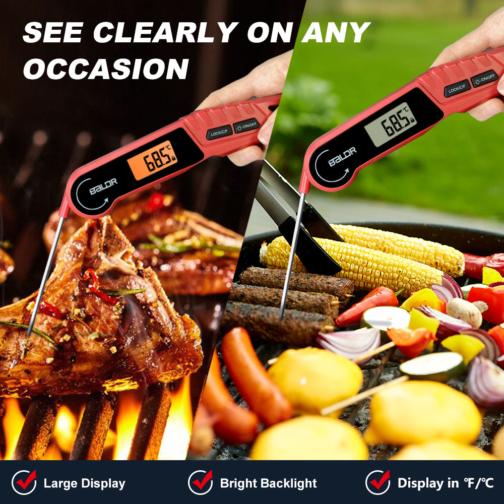 Digital Meat Thermometer – Brookstone