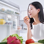 Sterilizer and Deodorizer for Refrigerator