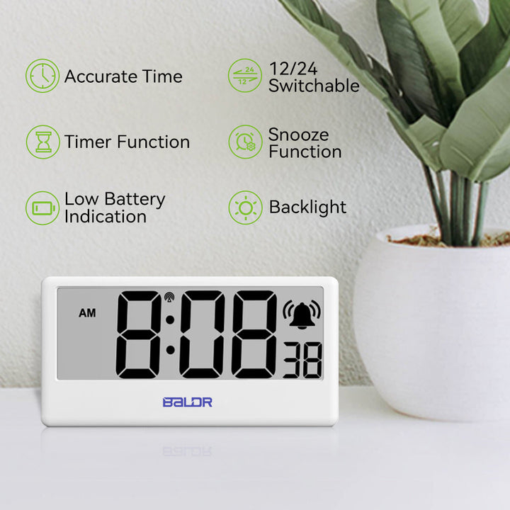BALDR Internet Time Synchronized Precision Clock
