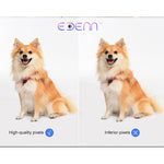EDENN 2 Way security Camera