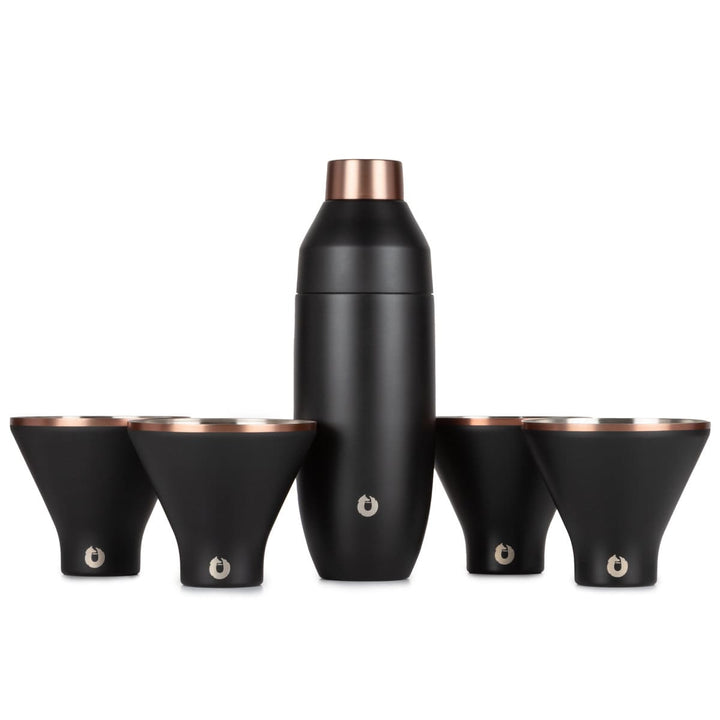 Stainless Steel Cocktail Shaker and Martini Glass Set