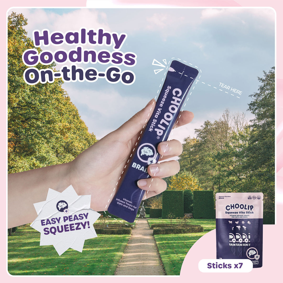 Choolip Squeeze Vita Stick Pouches - Vitamin-Infused Pet Treats