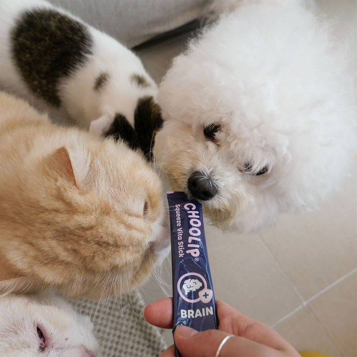 Choolip Squeeze Vita Stick Pouches - Vitamin-Infused Pet Treats