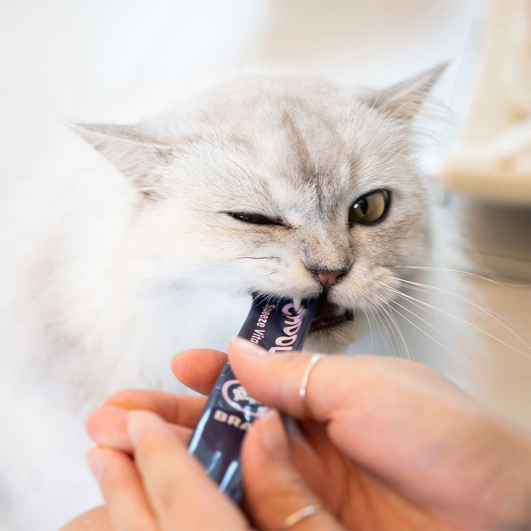 Choolip Squeeze Vita Stick Pouches - Vitamin-Infused Pet Treats