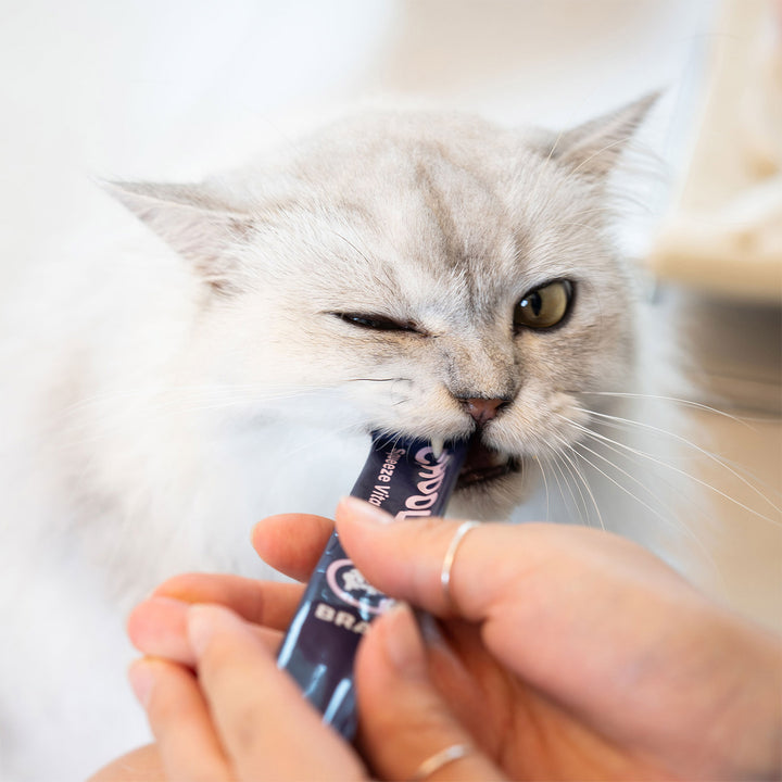 Choolip Squeeze Vita Stick Pouches - Vitamin-Infused Pet Treats