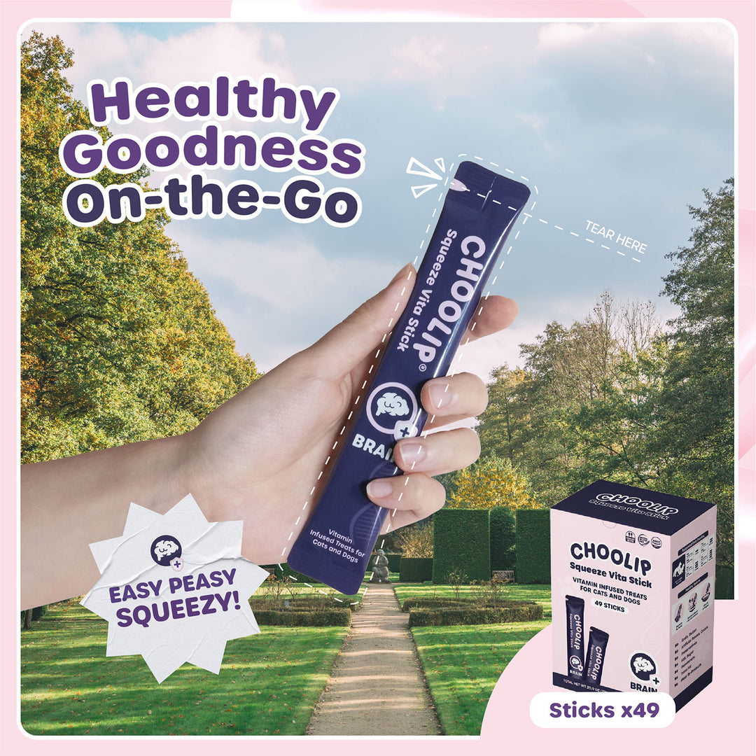 Choolip Squeeze Vita Stick Pouches - Vitamin-Infused Pet Treats