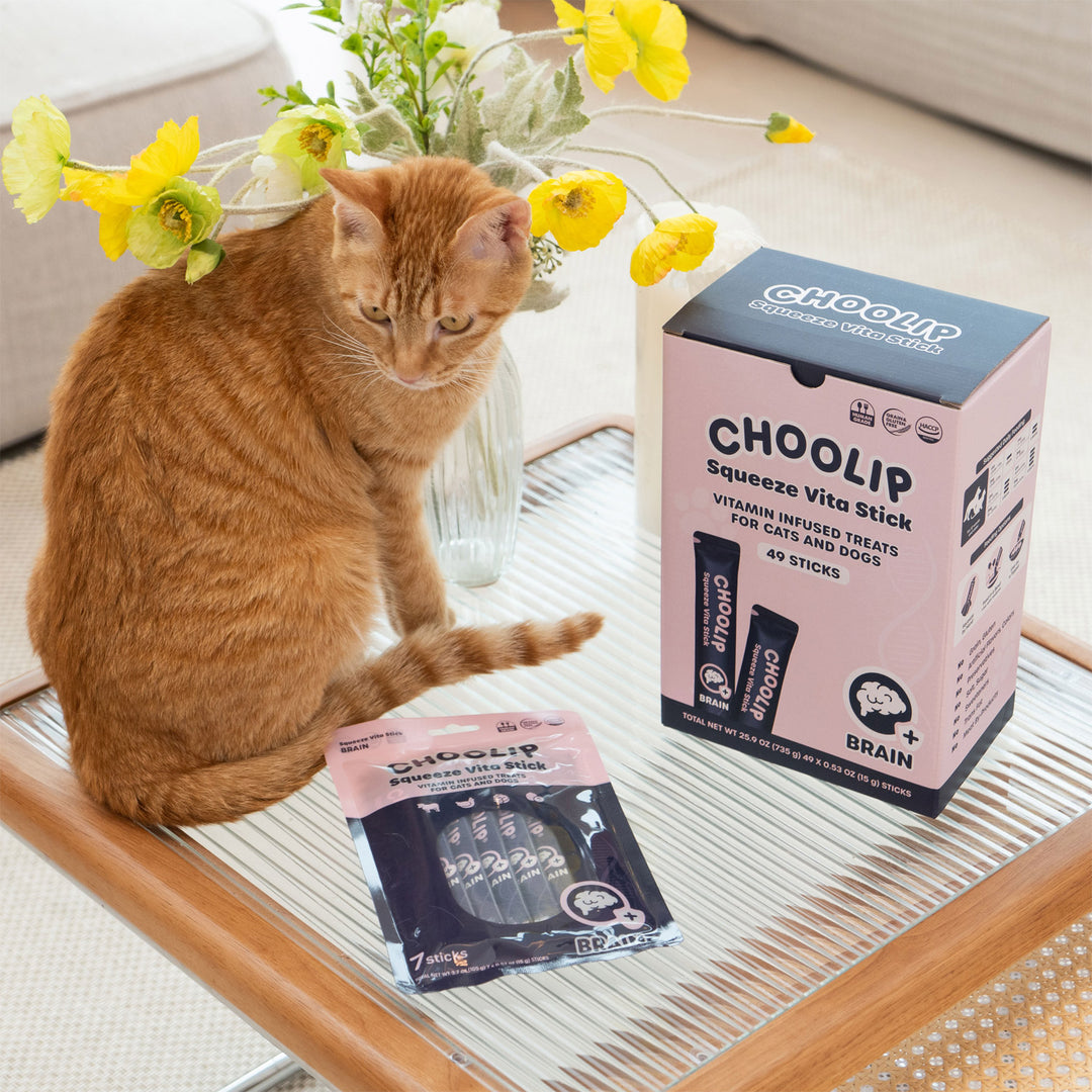 Choolip Squeeze Vita Stick Pouches - Vitamin-Infused Pet Treats