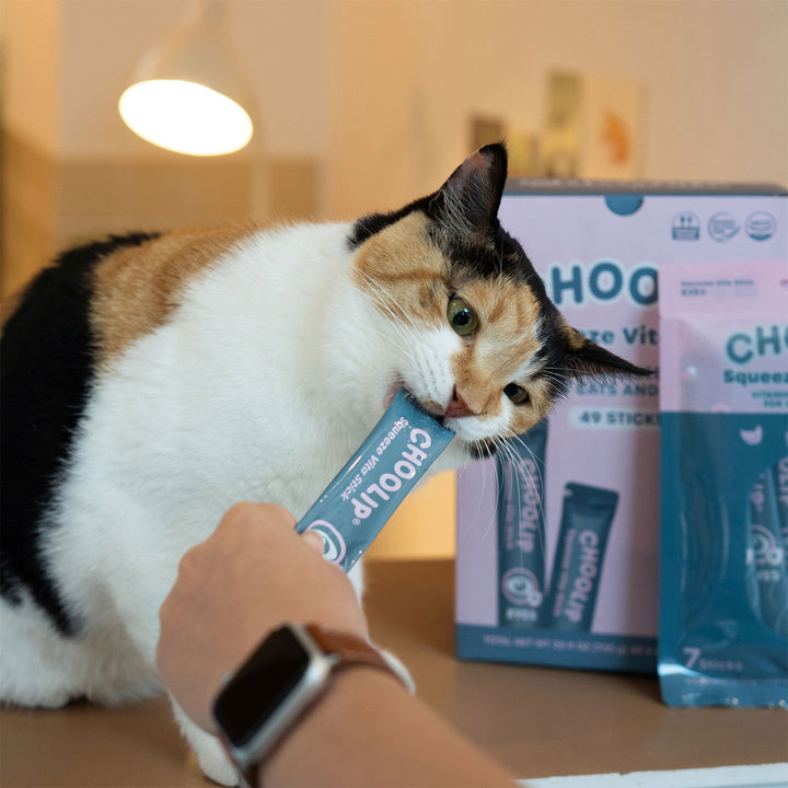Choolip Squeeze Vita Stick Pouches - Vitamin-Infused Pet Treats