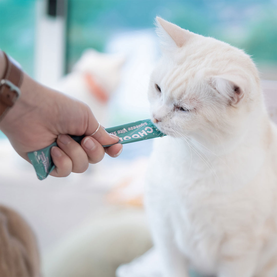 Choolip Squeeze Vita Stick Pouches - Vitamin-Infused Pet Treats