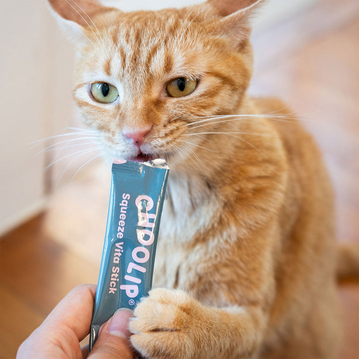 Choolip Squeeze Vita Stick Pouches - Vitamin-Infused Pet Treats