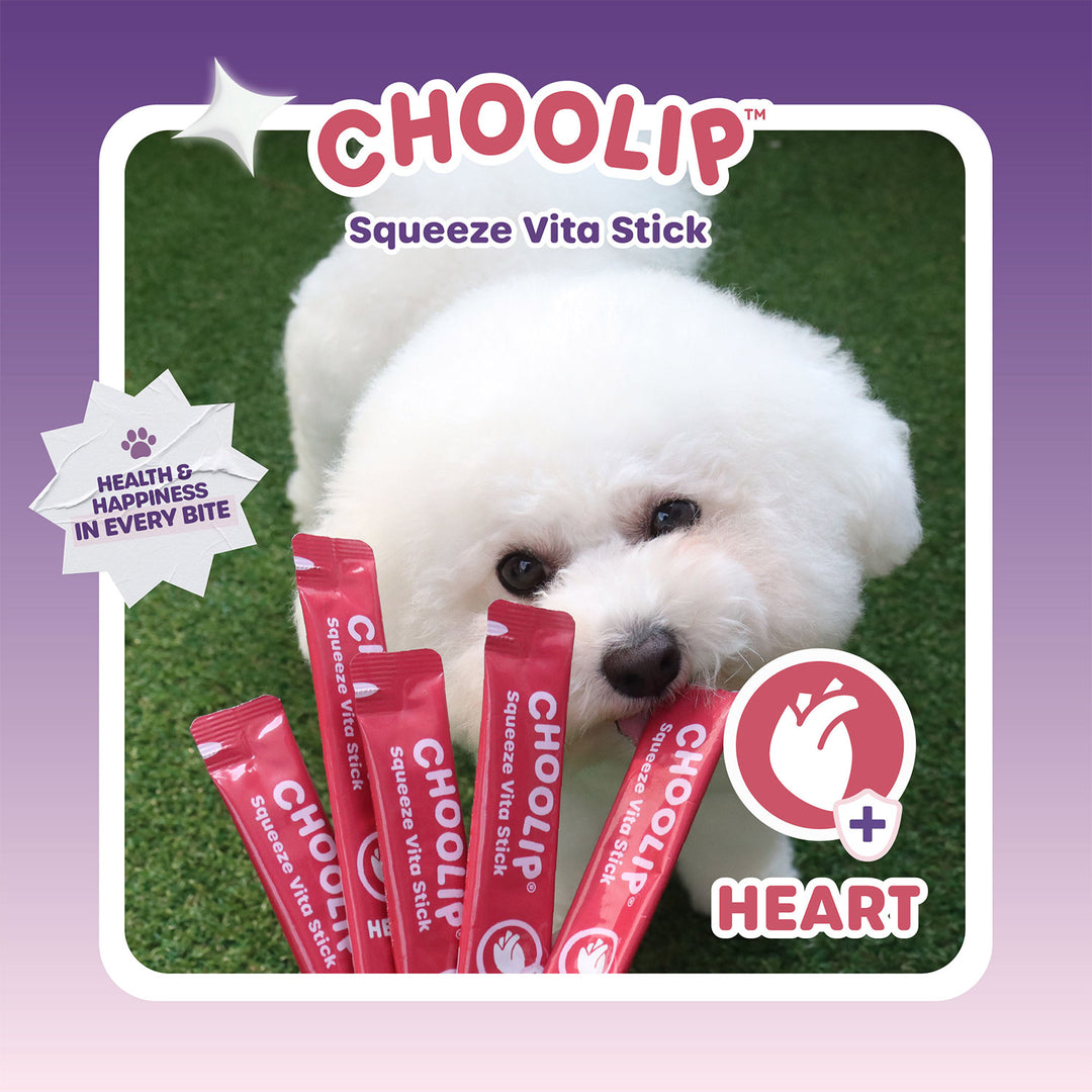 Choolip Squeeze Vita Stick Pouches - Vitamin-Infused Pet Treats