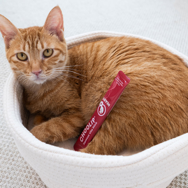 Choolip Squeeze Vita Stick Pouches - Vitamin-Infused Pet Treats