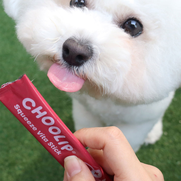 Choolip Squeeze Vita Stick Pouches - Vitamin-Infused Pet Treats