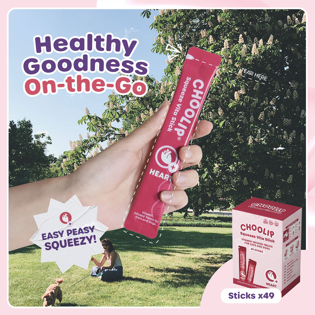 Choolip Squeeze Vita Stick Pouches - Vitamin-Infused Pet Treats