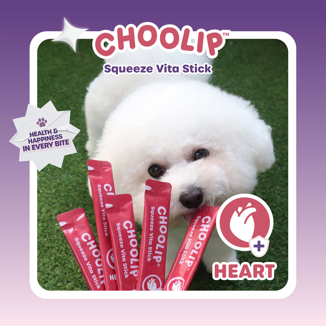 Choolip Squeeze Vita Stick Pouches - Vitamin-Infused Pet Treats