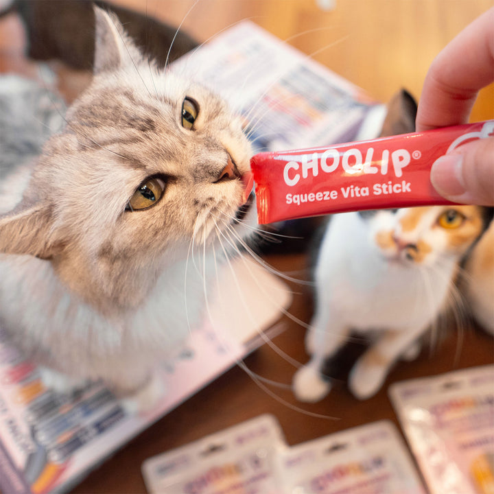 Choolip Squeeze Vita Stick Pouches - Vitamin-Infused Pet Treats