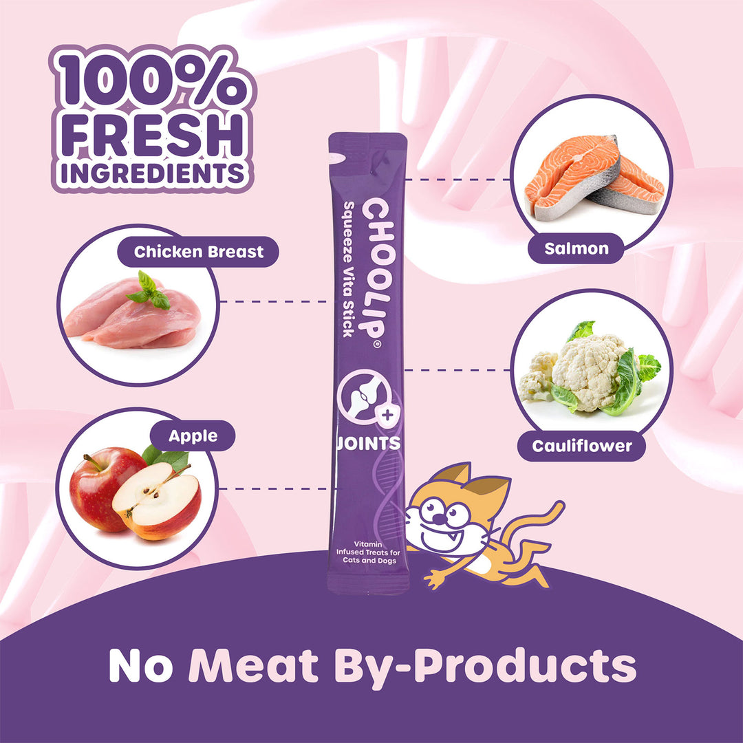 Choolip Squeeze Vita Stick Pouches - Vitamin-Infused Pet Treats