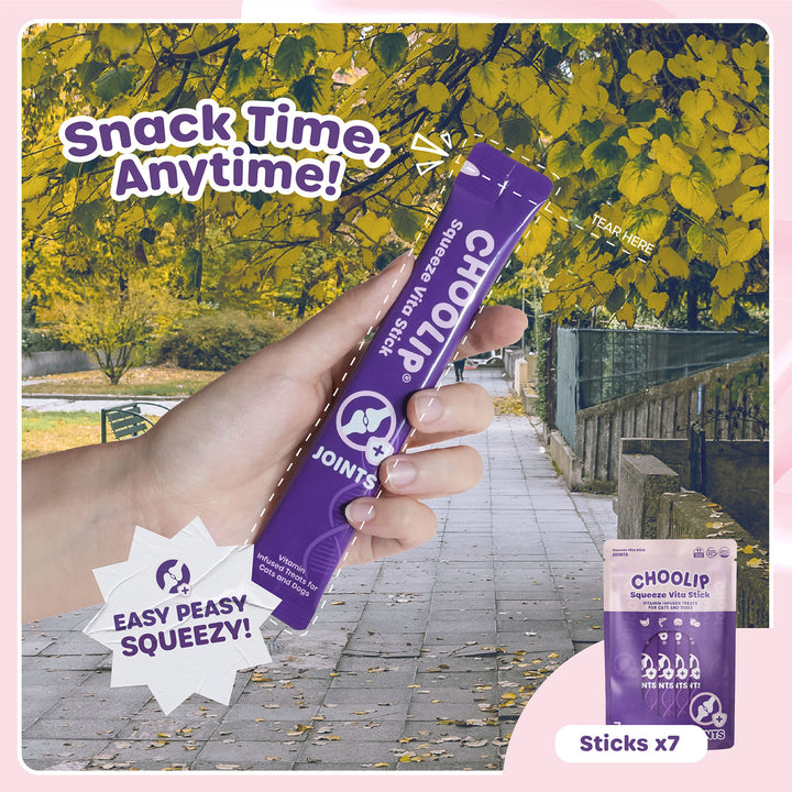 Choolip Squeeze Vita Stick Pouches - Vitamin-Infused Pet Treats