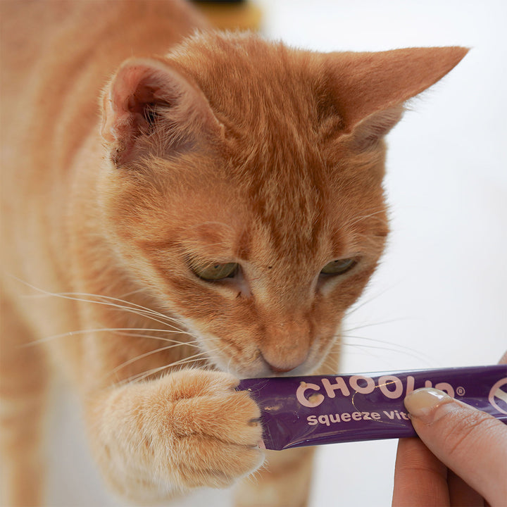 Choolip Squeeze Vita Stick Pouches - Vitamin-Infused Pet Treats