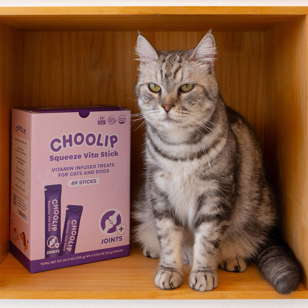 Choolip Squeeze Vita Stick Pouches - Vitamin-Infused Pet Treats