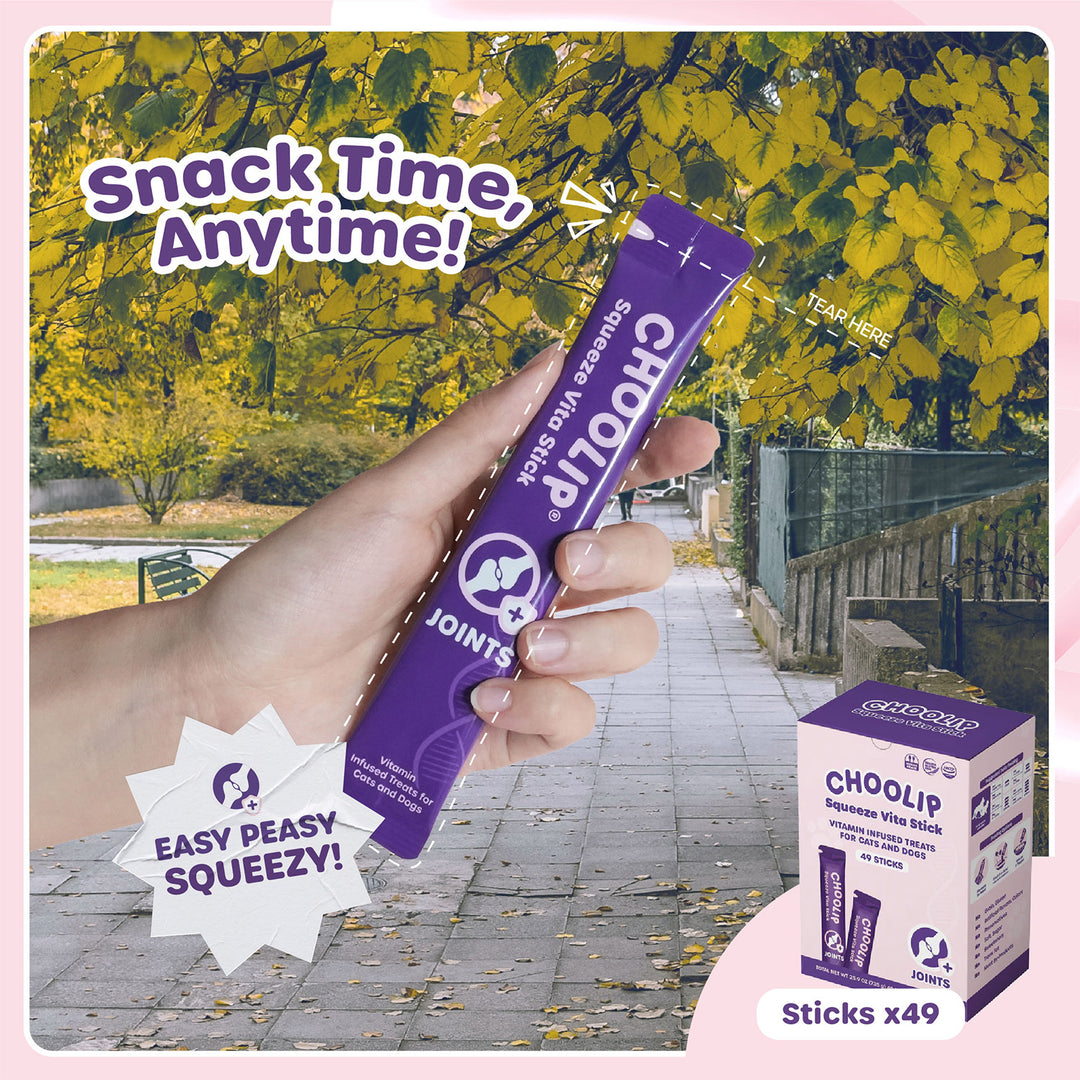 Choolip Squeeze Vita Stick Pouches - Vitamin-Infused Pet Treats