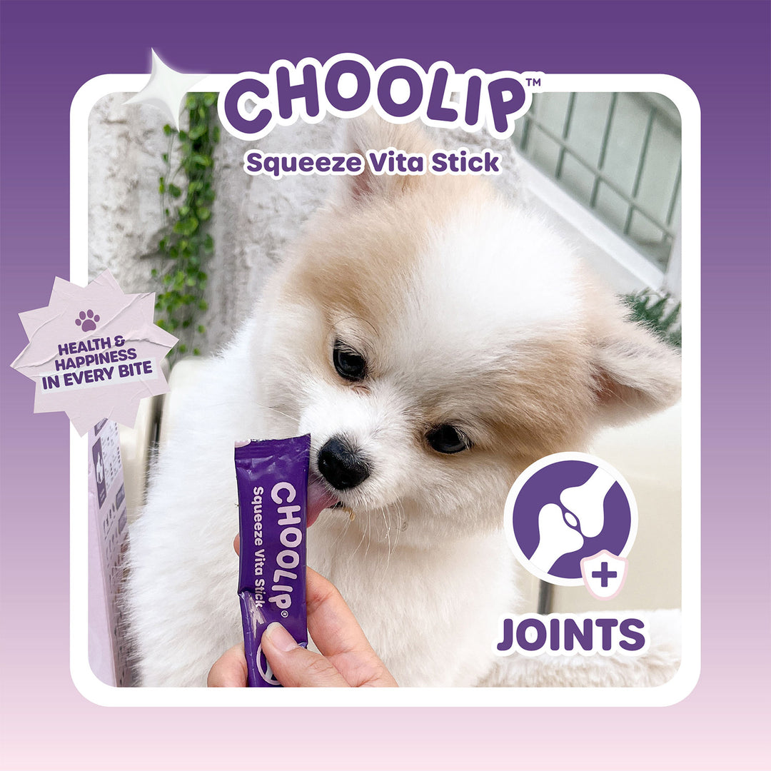 Choolip Squeeze Vita Stick Pouches - Vitamin-Infused Pet Treats