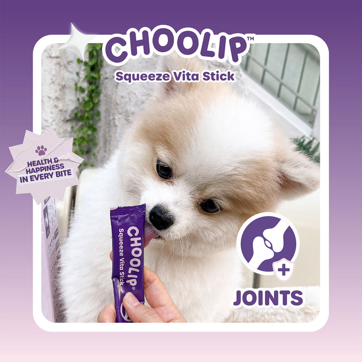Choolip Squeeze Vita Stick Pouches - Vitamin-Infused Pet Treats