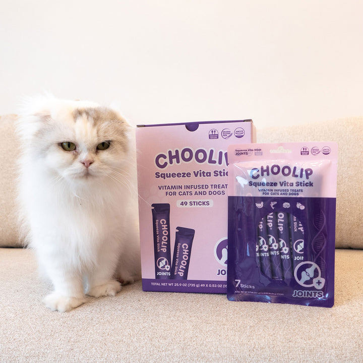 Choolip Squeeze Vita Stick Pouches - Vitamin-Infused Pet Treats