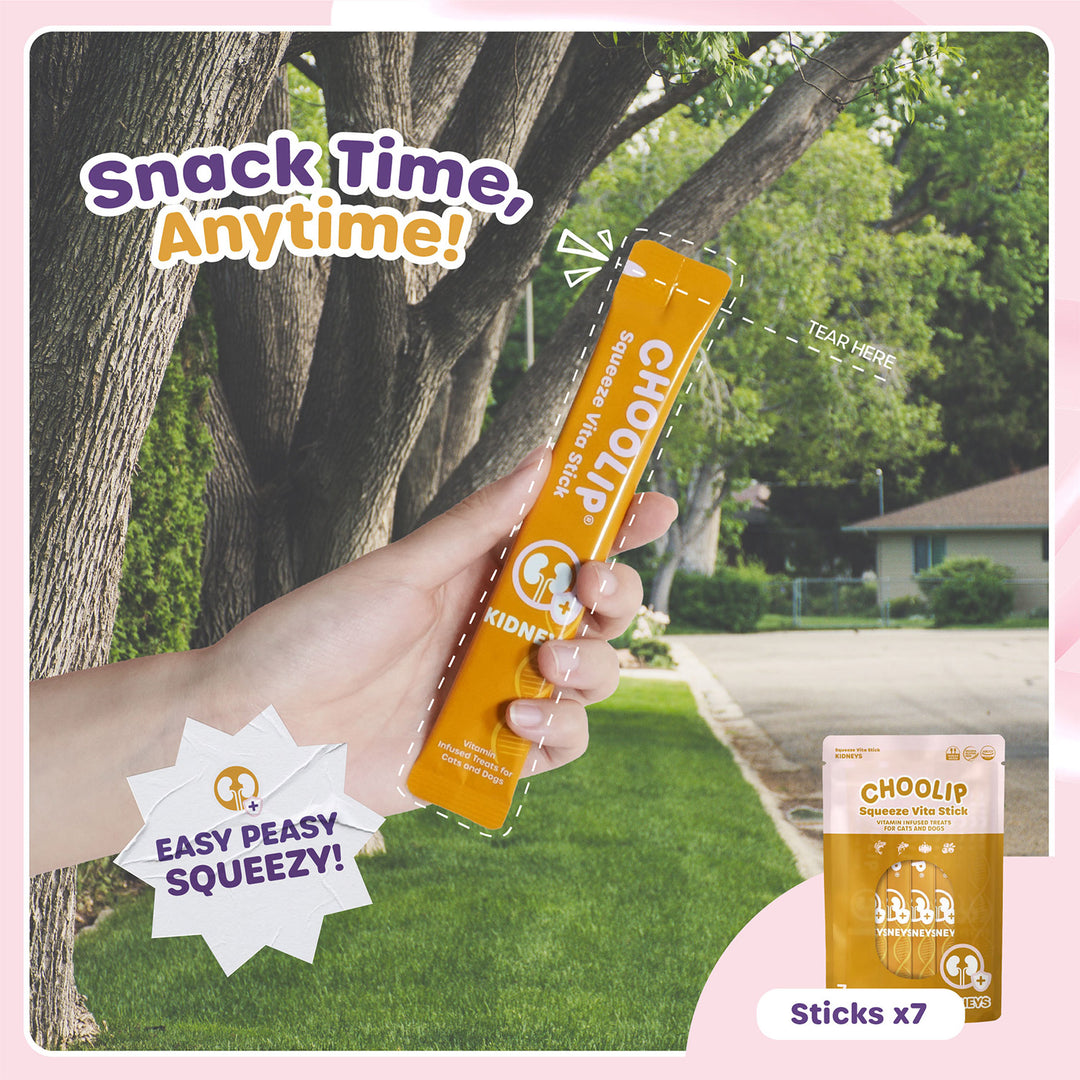 Choolip Squeeze Vita Stick Pouches - Vitamin-Infused Pet Treats