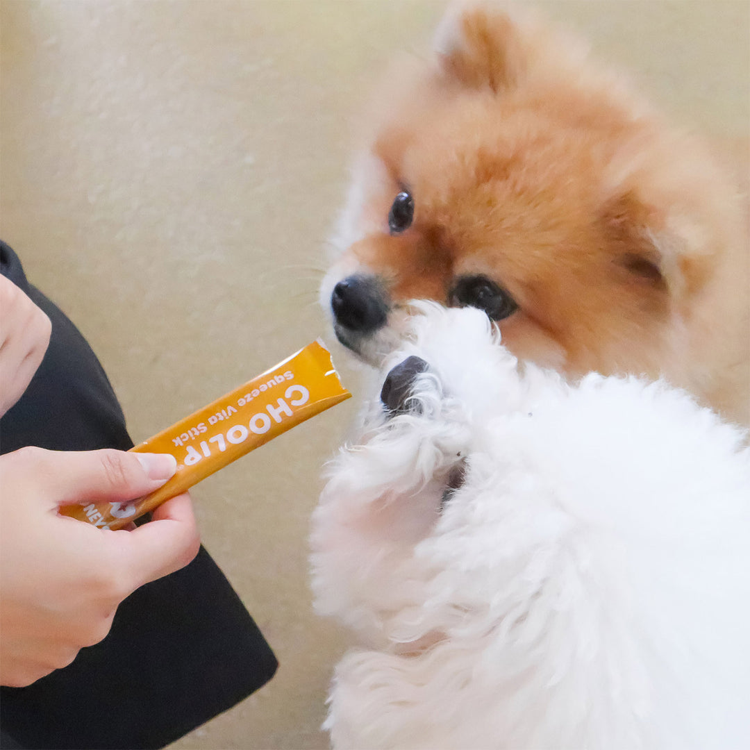 Choolip Squeeze Vita Stick Pouches - Vitamin-Infused Pet Treats
