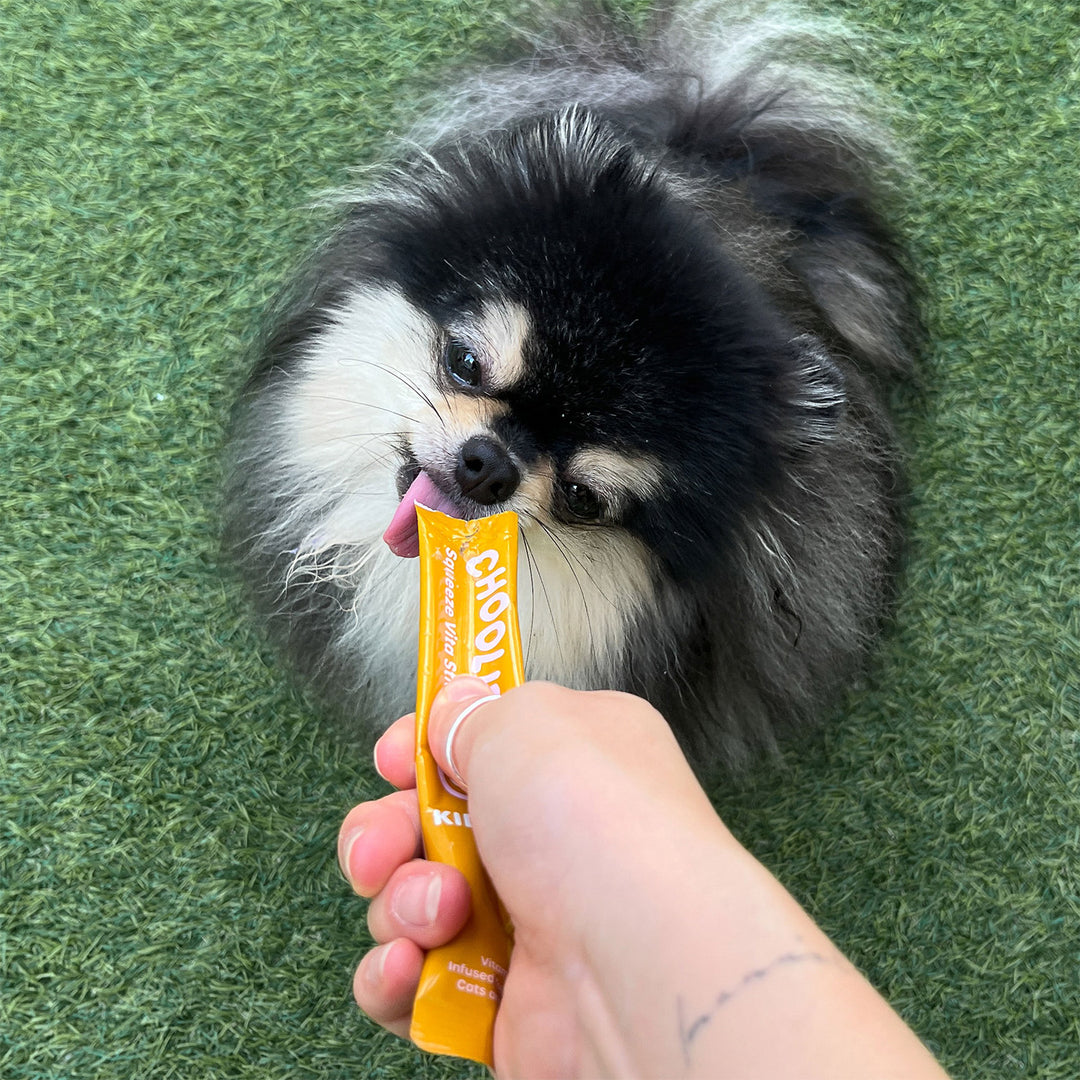 Choolip Squeeze Vita Stick Pouches - Vitamin-Infused Pet Treats