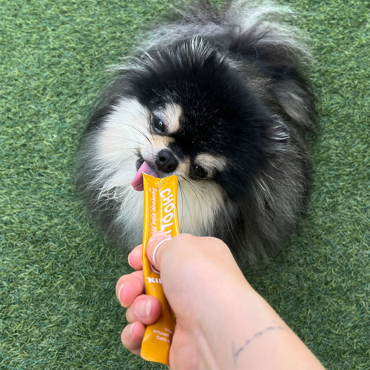 Choolip Squeeze Vita Stick Pouches - Vitamin-Infused Pet Treats