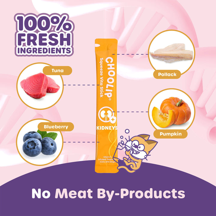 Choolip Squeeze Vita Stick Pouches - Vitamin-Infused Pet Treats